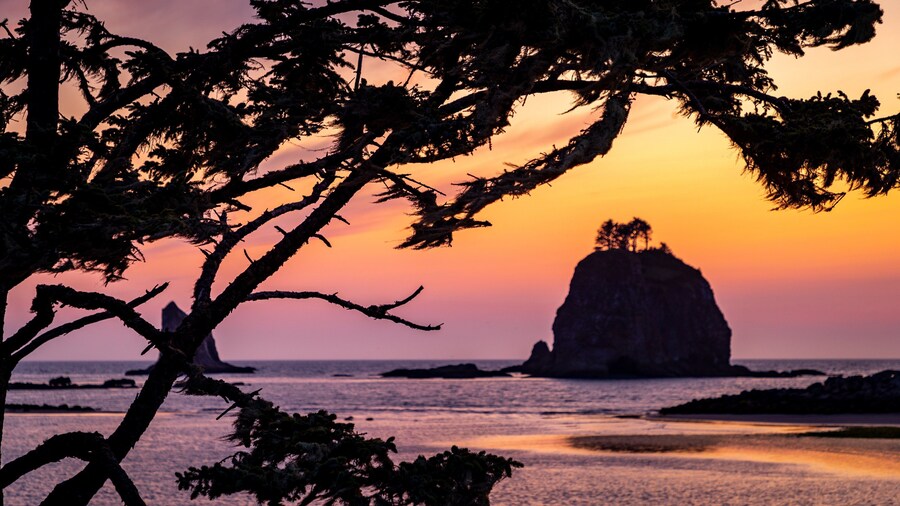 La Push which includes general coastal views and a sunset
