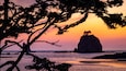 La Push which includes general coastal views and a sunset