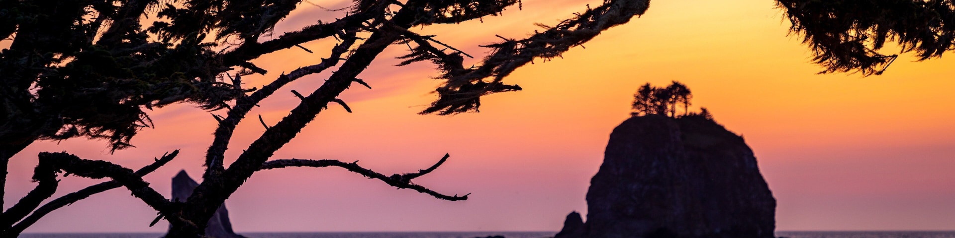 La Push which includes general coastal views and a sunset
