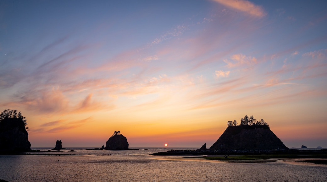 La Push featuring general coastal views and a sunset