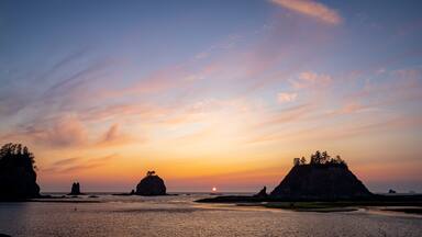 La Push featuring general coastal views and a sunset