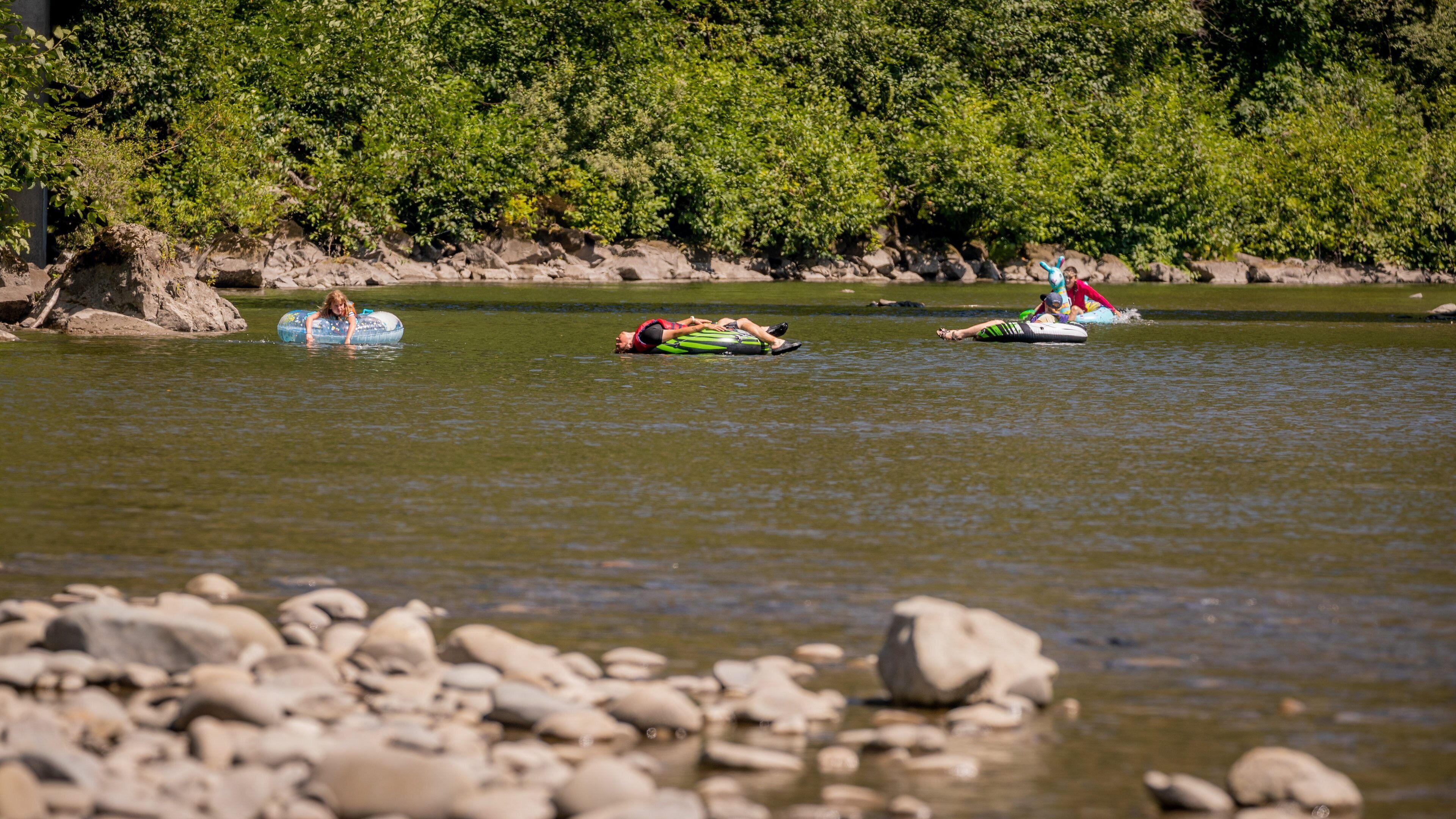 Bogachiel River showing a lake or waterhole as well as a small group of people
