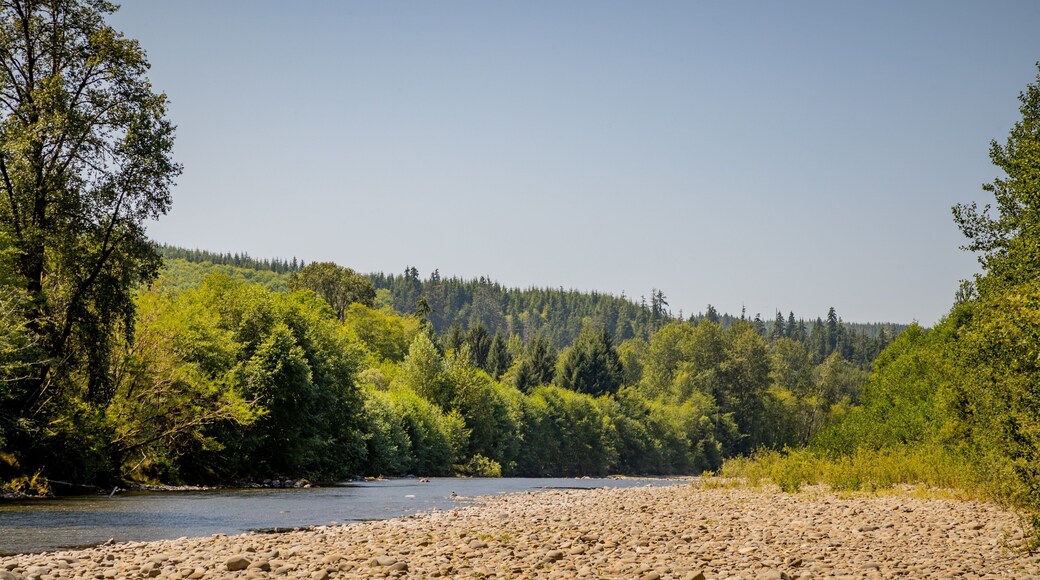Bogachiel River showing a pebble beach and a river or creek