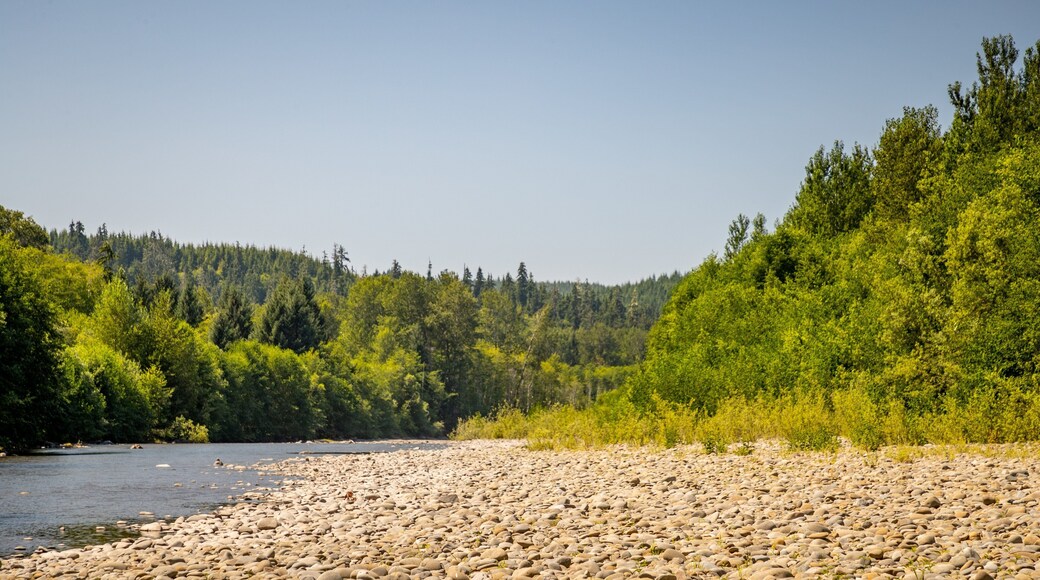 Bogachiel River featuring a river or creek, a pebble beach and tranquil scenes