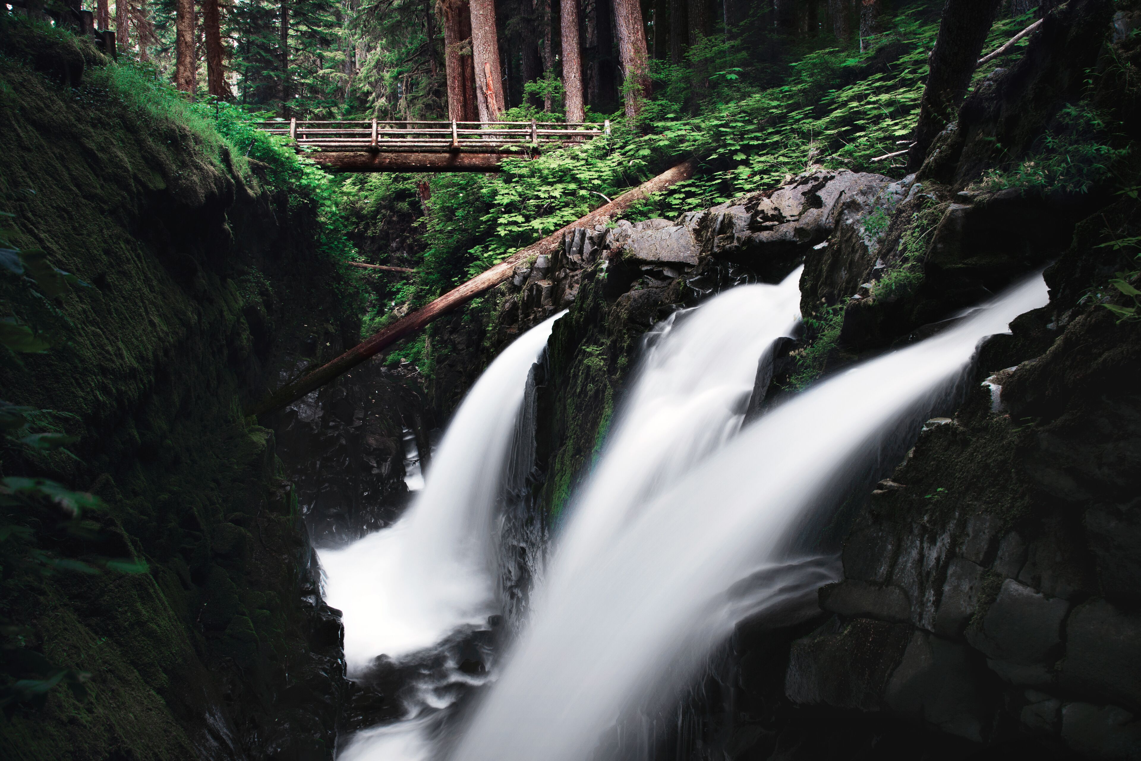 Sol Duc Falls in Olympic National Park, WA, USA. A PNW hiking adventure. 