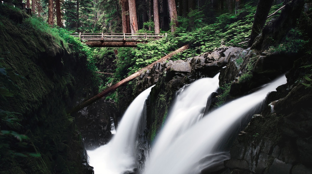 Sol Duc Falls in Olympic National Park, WA, USA. A PNW hiking adventure.