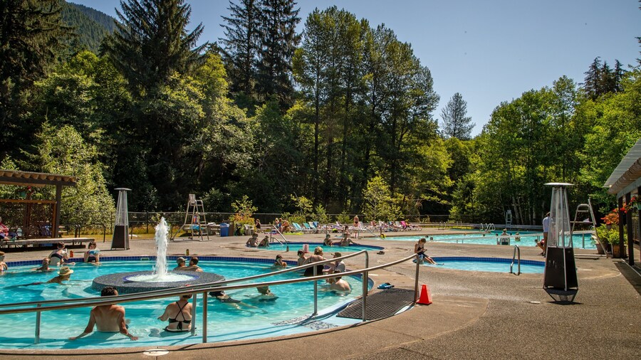 Sol Duc Hot Springs showing swimming, a pool and a fountain