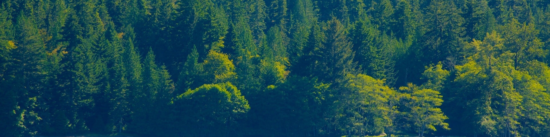 Washington que inclui um lago ou charco, canoagem e paisagem