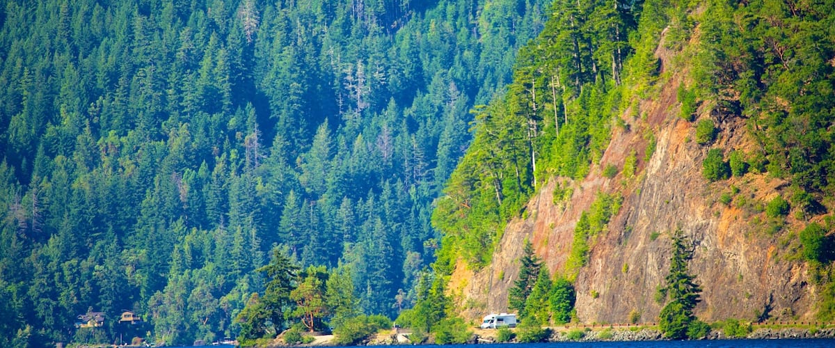 Olympic National Park which includes a lake or waterhole and forest scenes