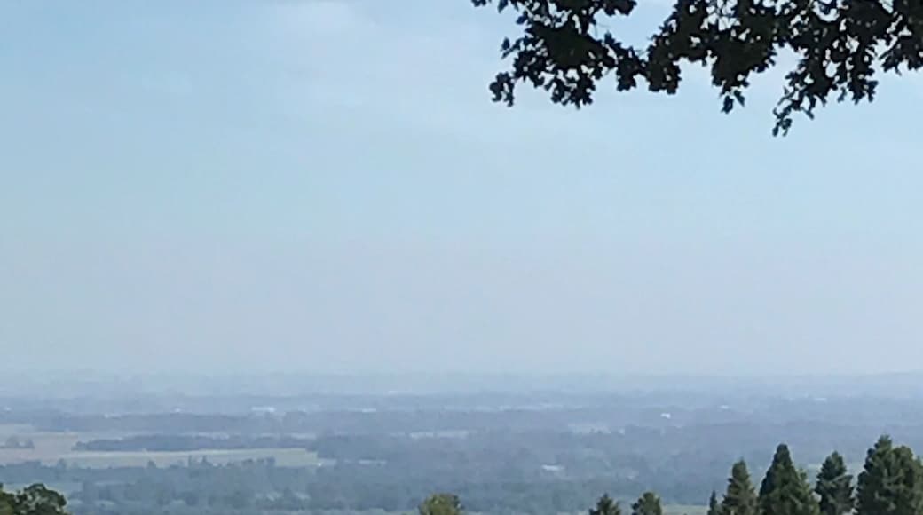 Great winery! Beautiful scenery and great wines make this a must stop!