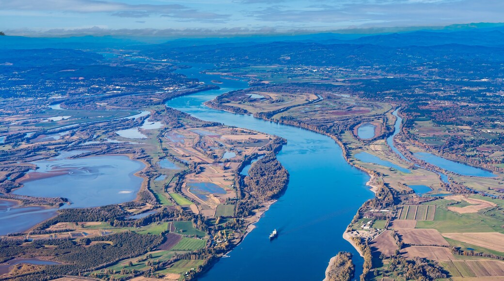 ์๋น ์ฌ ์ผ์๋๋ฌผ ๋ณดํธ๊ตฌ์ญ