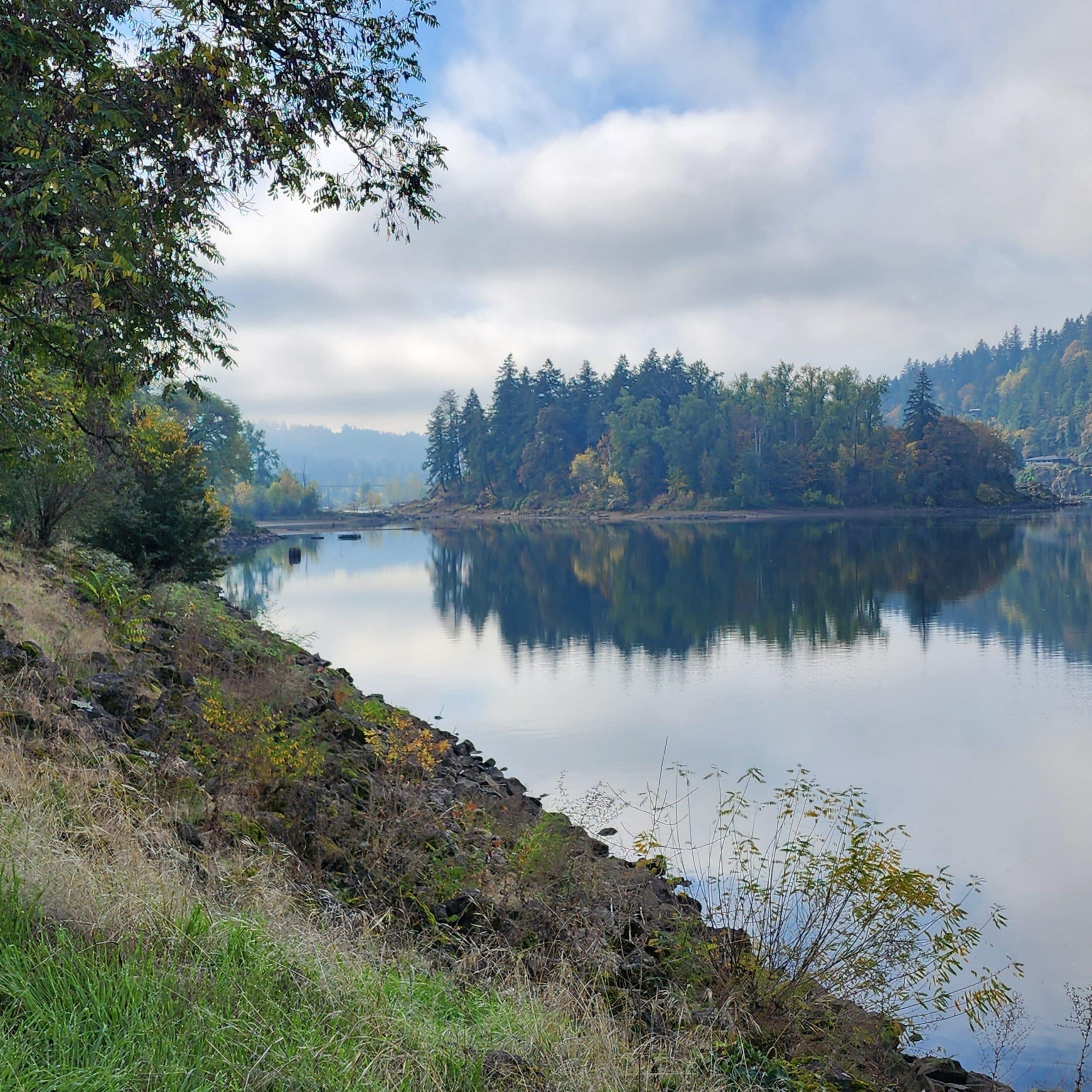 View of Elk Rock Island in Willamette River from Kellogg Creek Park, Milwaukie, Oregon as fog is lifting