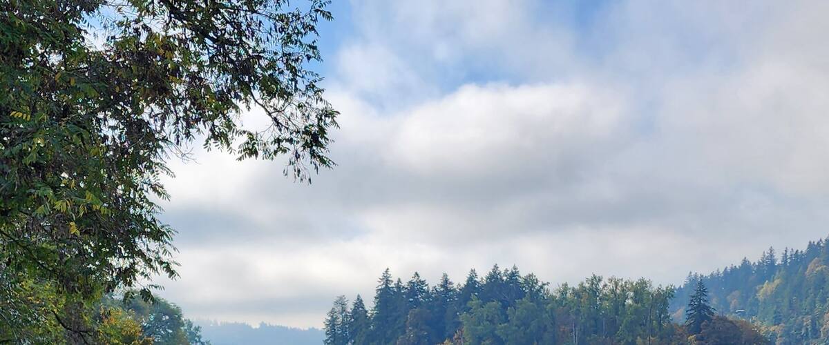 View of Elk Rock Island in Willamette River from Kellogg Creek Park, Milwaukie, Oregon as fog is lifting