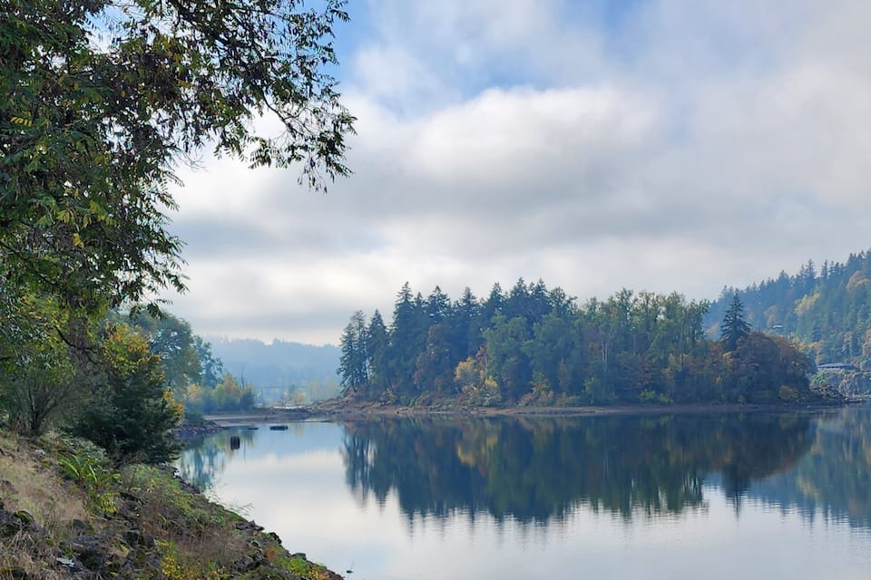 Ein ruhiger See, umgeben von dichtem Wald und felsigen Ufern.