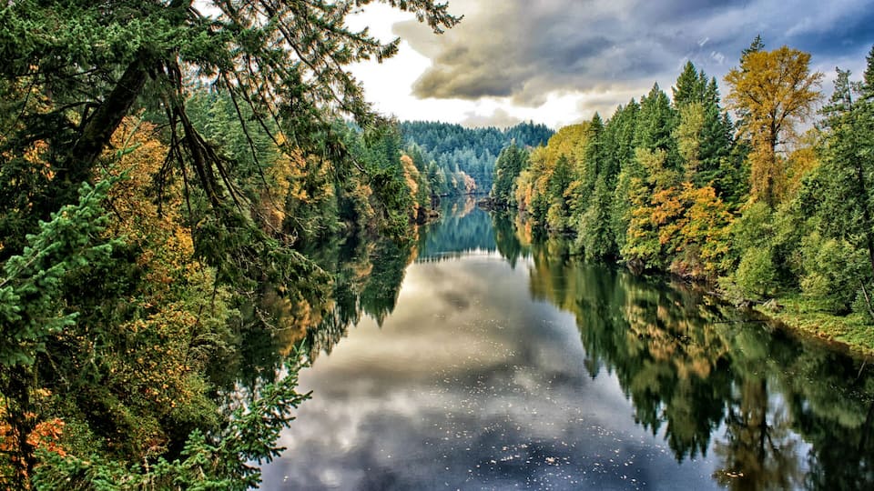 A calm river surrounded by dense forest with autumn foliage.