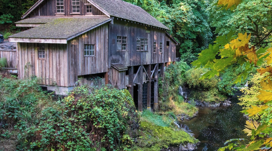 Explore this beautiful turn of the century grist mill and covered bridge. Open weekends for tours. #greatoutdoors