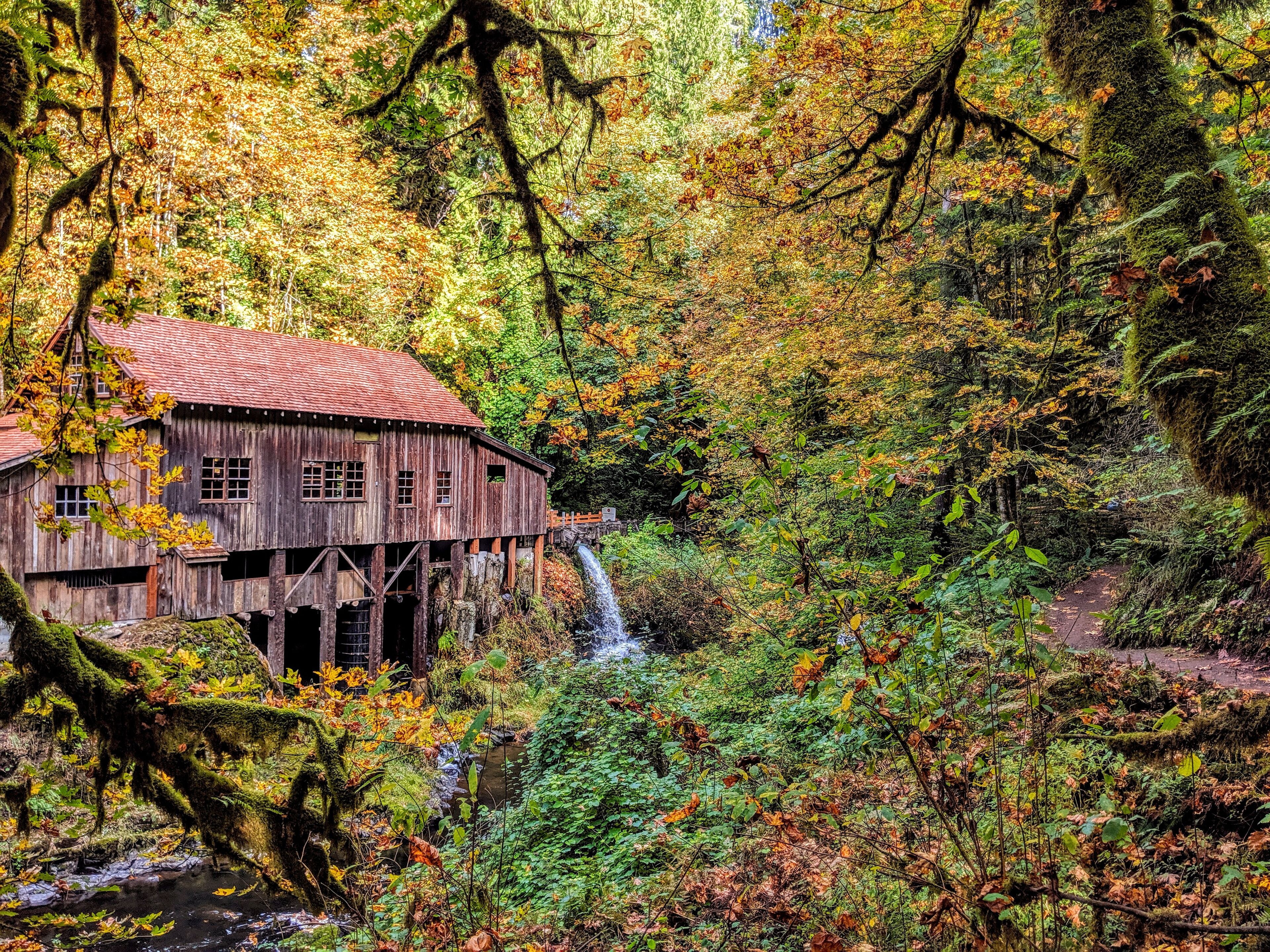 The Fall colors on the old Mill is magical. Perfect hidden small town gem. #explorelocal #hiddengems #mybackyard #smalltown #trovember #fallcolors #getoutdoors #washington #pnw #trovemberphotocontest