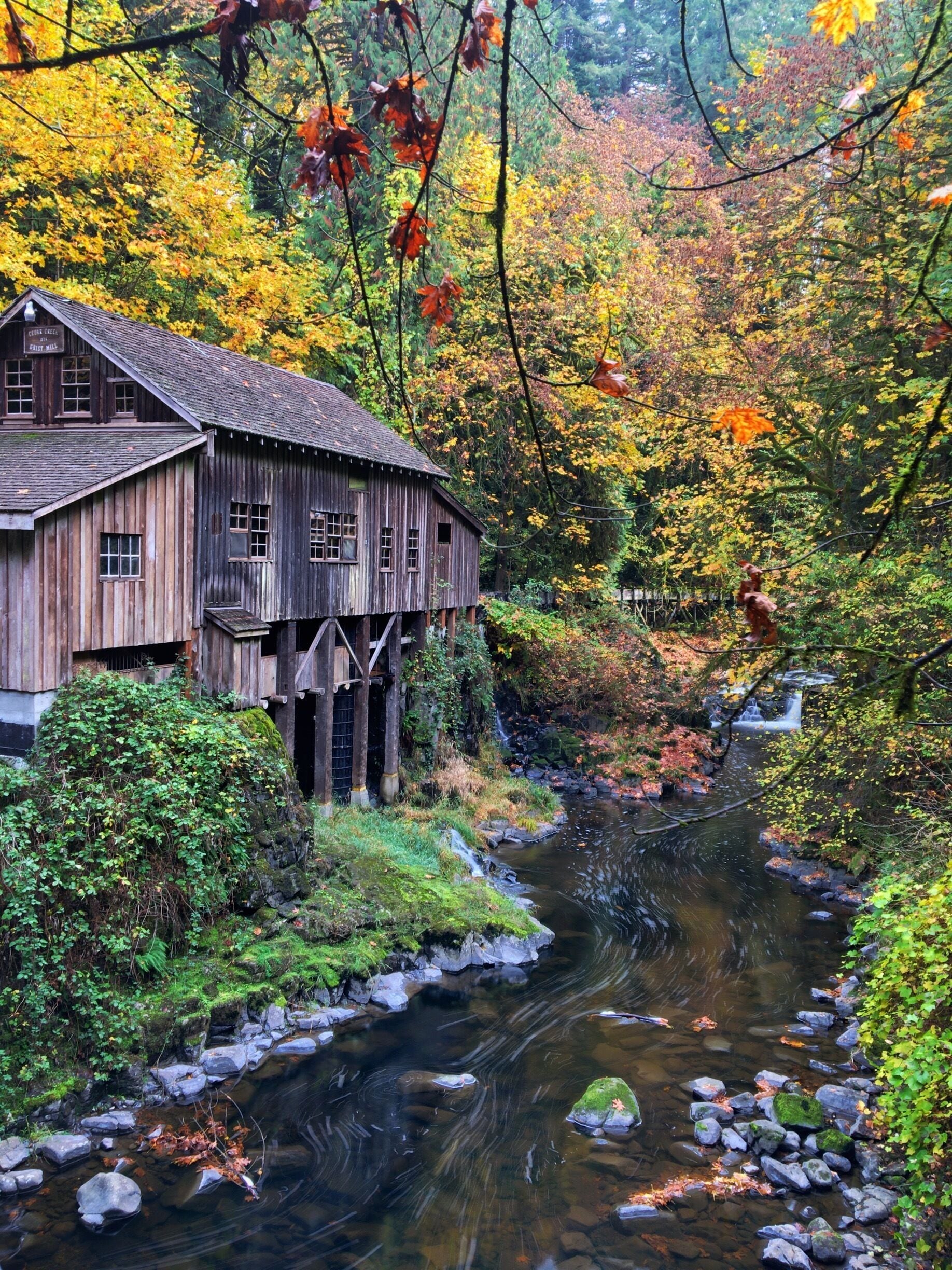 Scenery alone around the Cedar Creek Grist Mill makes it worth the trip. It's like driving into the past. Heavily wooded and a beautiful stream doing the same thing today as it did over a hundred years ago. The soothing sounds of the rushing water may allow the visitors time for reflection of those times. The south side of the creek has four picnic tables to those fortunate enough to lay claim and allow a great view of the stream, the mill and the covered bridge.   #autumn #pnw #fall #roadtrip #travel #adventure #colorful

