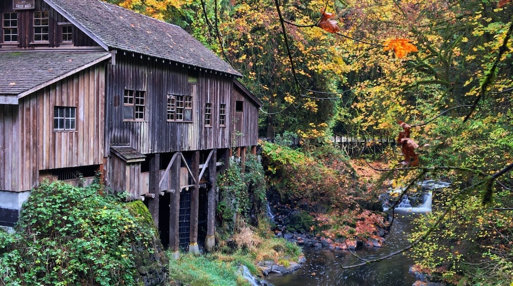 Scenery alone around the Cedar Creek Grist Mill makes it worth the trip. It's like driving into the past. Heavily wooded and a beautiful stream doing the same thing today as it did over a hundred years ago. The soothing sounds of the rushing water may allow the visitors time for reflection of those times. The south side of the creek has four picnic tables to those fortunate enough to lay claim and allow a great view of the stream, the mill and the covered bridge. #autumn #pnw #fall #roadtrip #travel #adventure #colorful