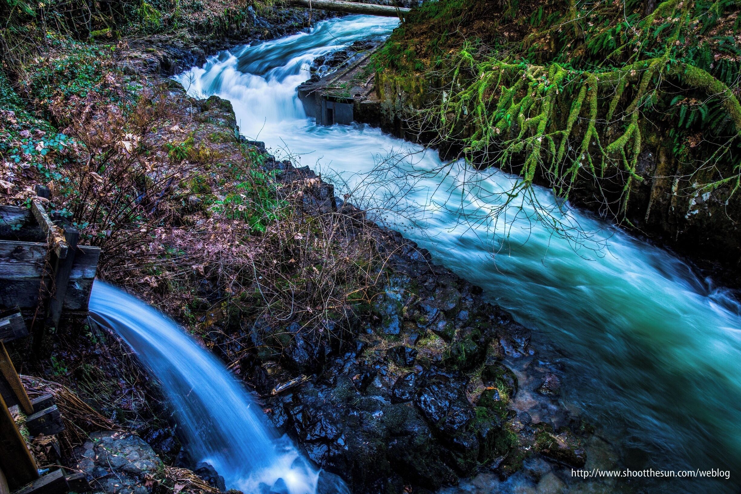 A bend in the creek and the filtered runoff from the grist mill.