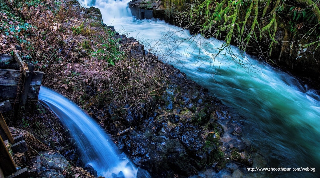A bend in the creek and the filtered runoff from the grist mill.