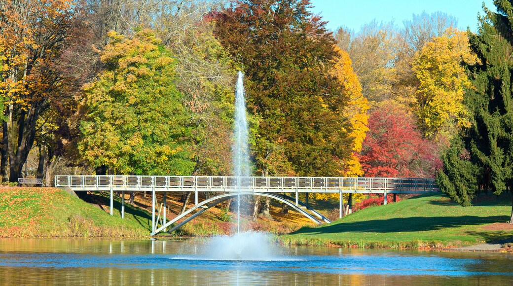 레이크 사카자와 공원