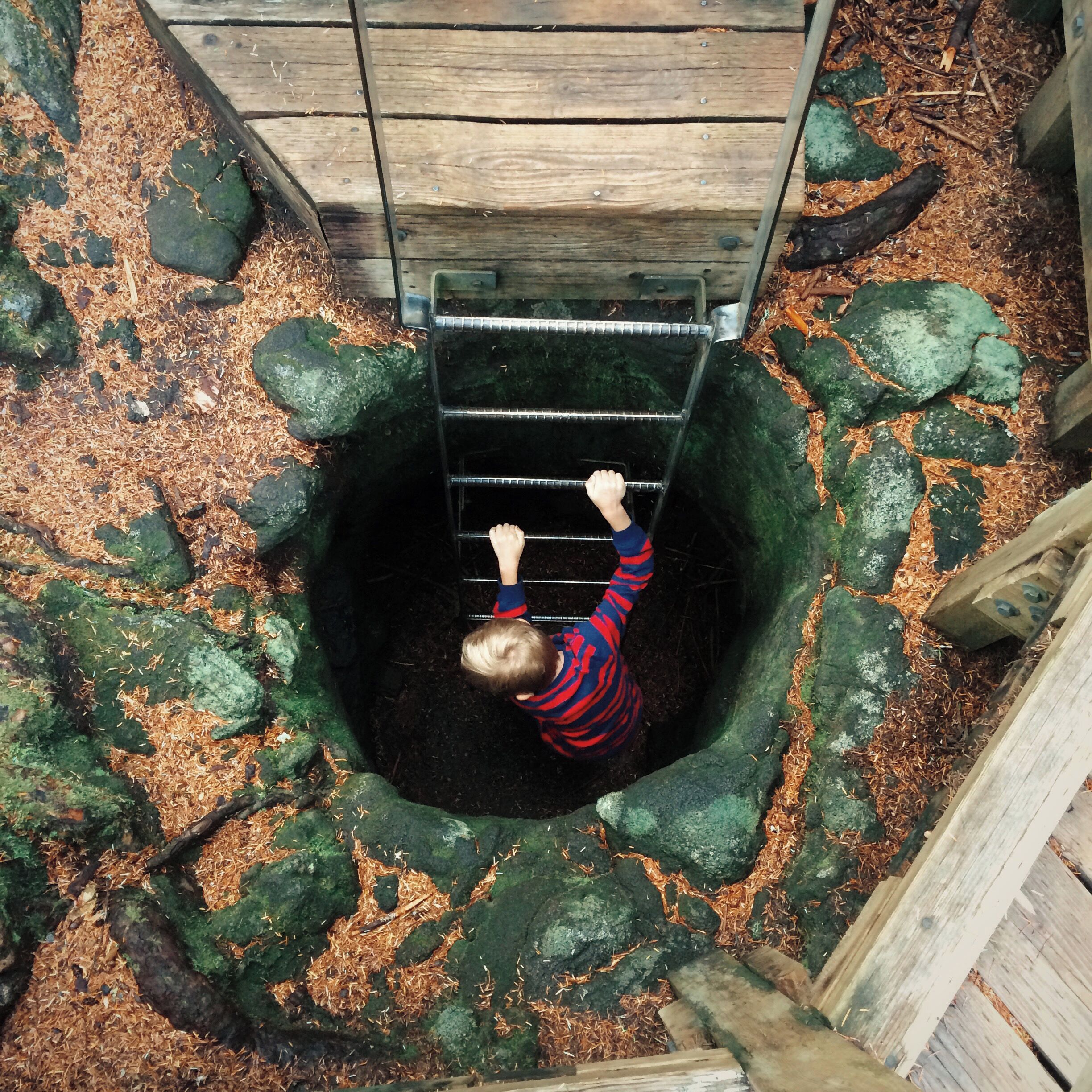 マウント セント ヘレンズ フォレスト ラーニング センター