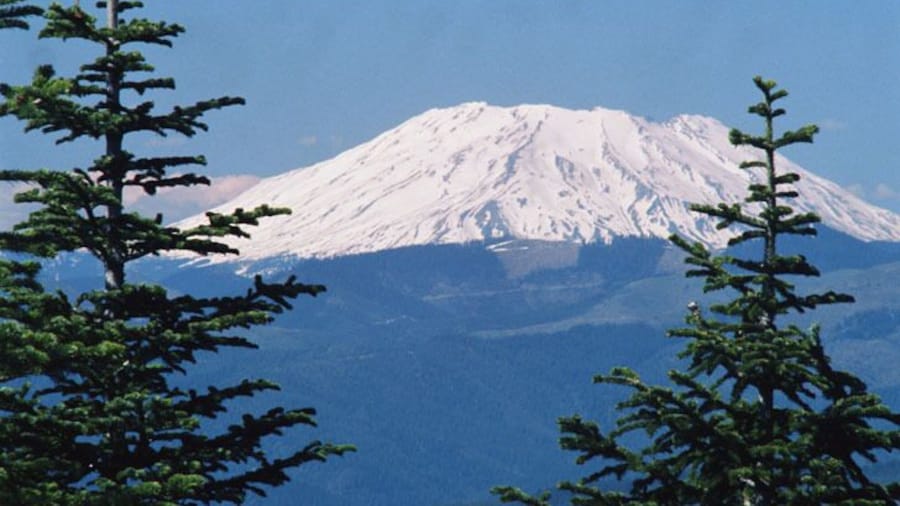 Centre de découverte Forest Learning Center at Mount St. Helens