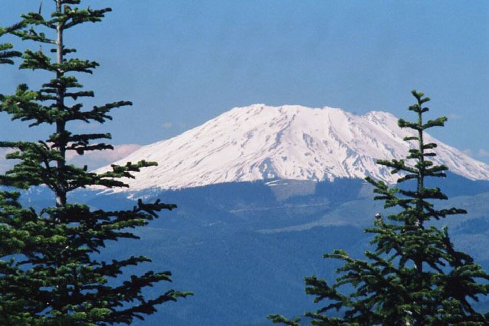 Une montagne enneigée, avec un ciel dégagé et des arbres à feuilles persistantes au premier plan.