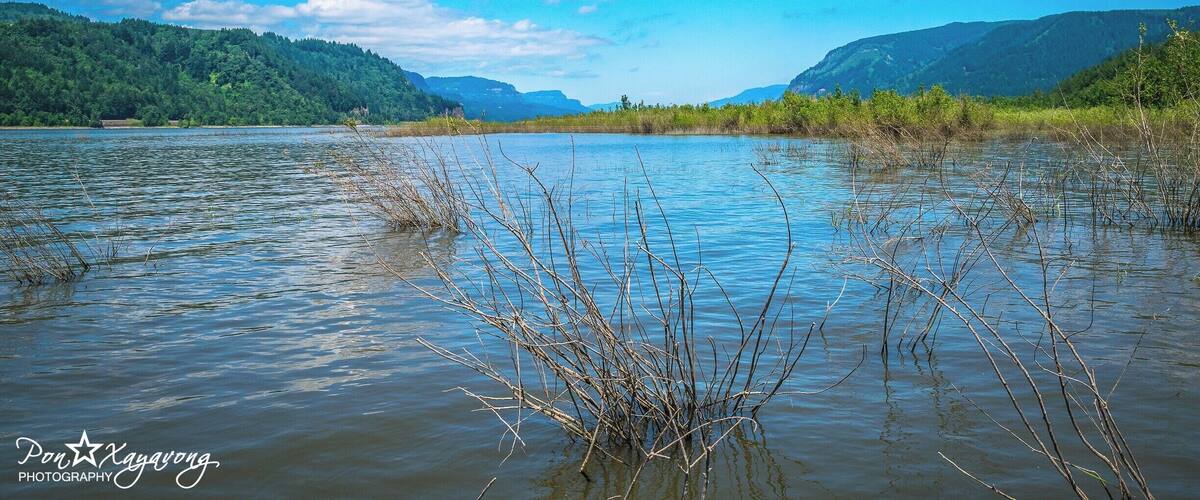 Beautiful state park to hike or have pinick at the lake with nice view of the mountain in the background. Cost $5 to get into the park
