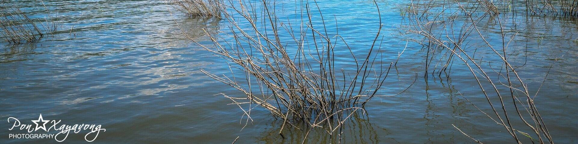 Beautiful state park to hike or have pinick at the lake with nice view of the mountain in the background. Cost $5 to get into the park