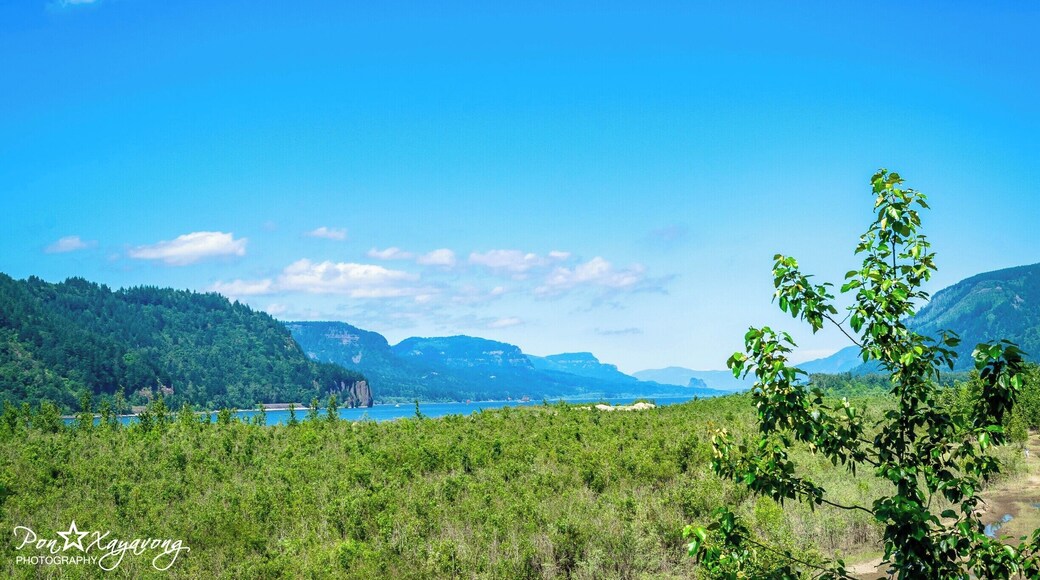 Beautiful state park to hike or have pinick at the lake with nice view of the mountain in the background. Cost $5 to get into the park