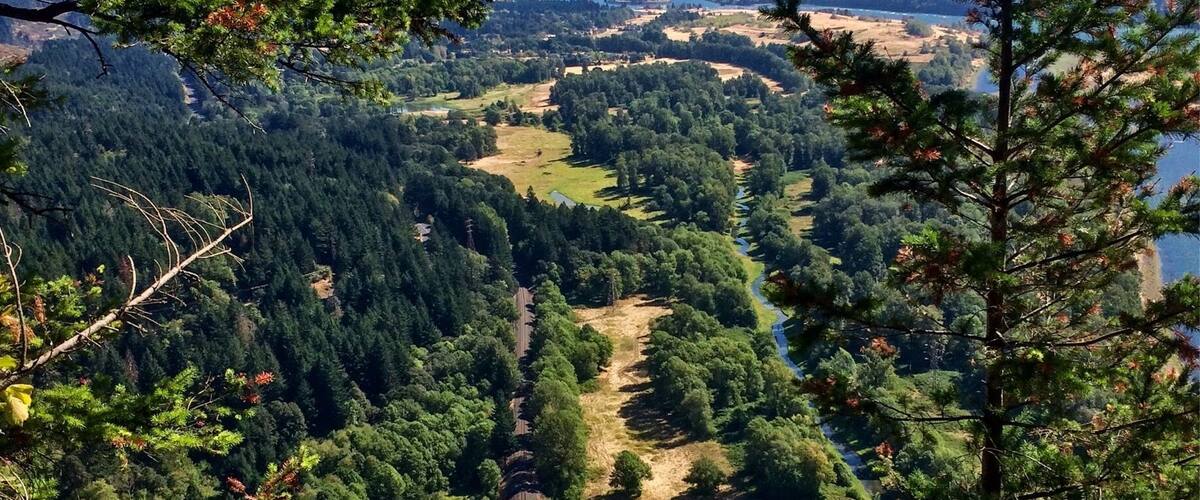 It's 52 switchbacks to the top and worth every single one. The view of the Columbia Gorge is to die for. #washington #outdoors