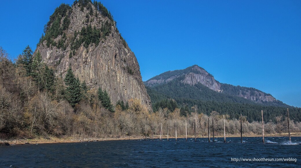 Here is what people usually come to see at Beacon Rock State Park, the 848-foot basalt plug which gives the park its name.
You can actually walk up to the top of it using a very well-constructed, reinforced and paved trail which spirals around the monolith and deposits you on its summit.
All along the way, you can peek out to see some of the most breathtaking views of the gorge.
The only trouble is, when you get that close to the thing, you can't get a decent photo of it in its entirety. For that, your best bet is this state park, which is a little less than a mile away.
That's Table Mountain to the right, whose trailhead is some five miles to the East.