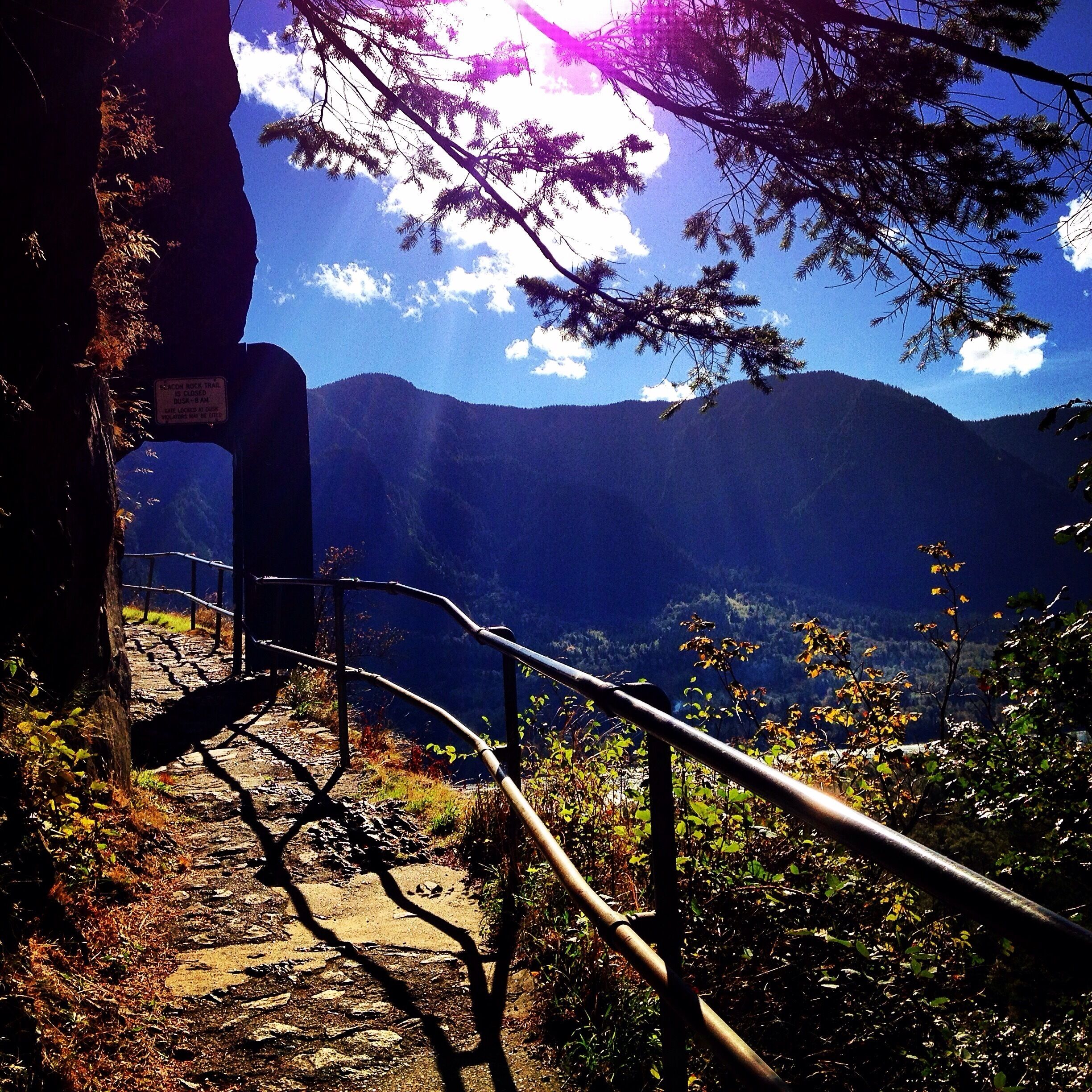 A mountain trail with a metal railing, surrounded by trees and a clear sky.