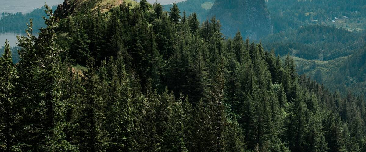 A view of the Columbia River Gorge from Hamilton Mountain in Washington State.