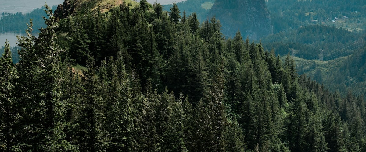 A dense forest with a prominent rocky hill and a river in the background.