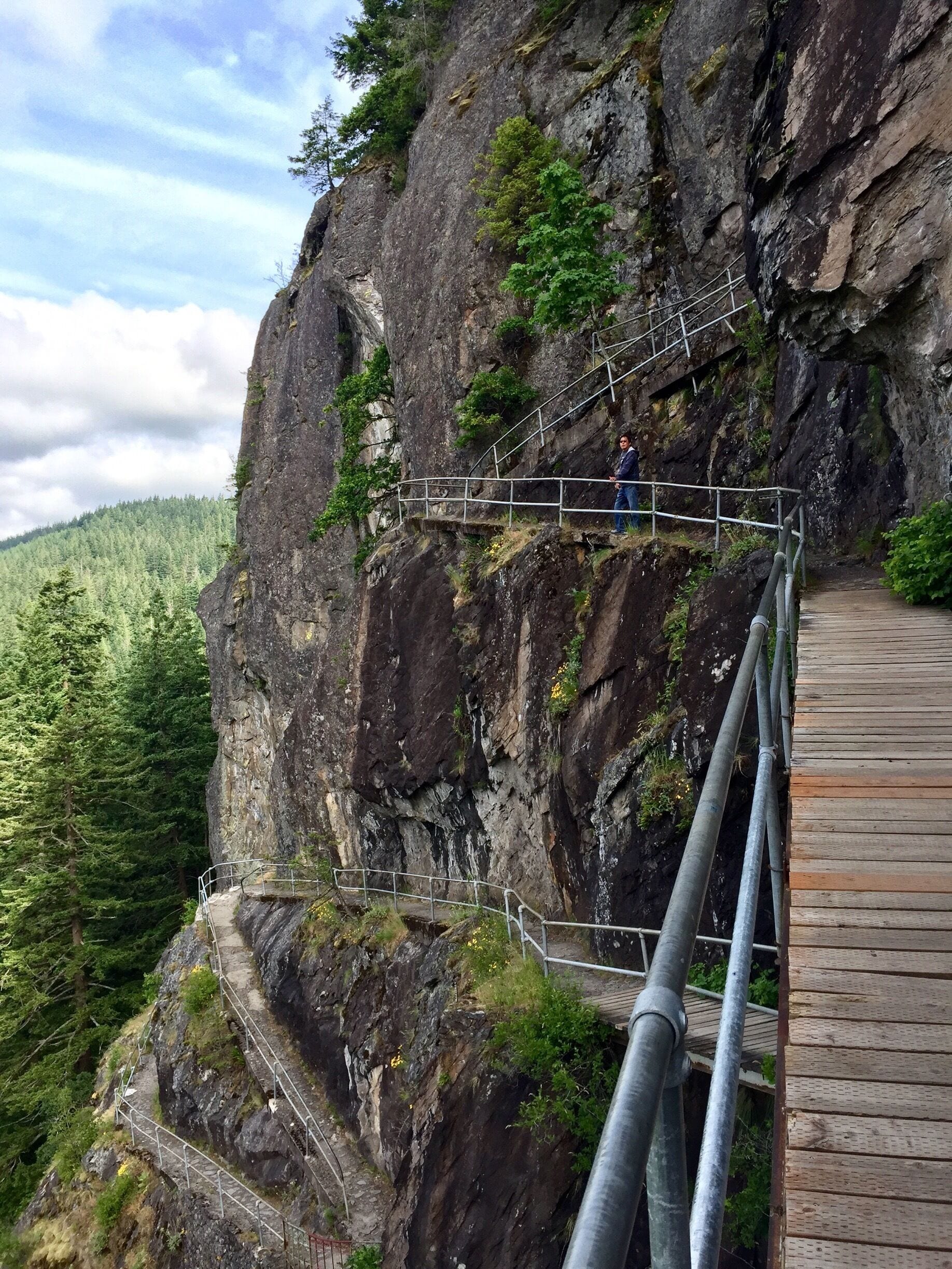 A wooden boardwalk along a steep cliff with metal railings, surrounded by dense forest.