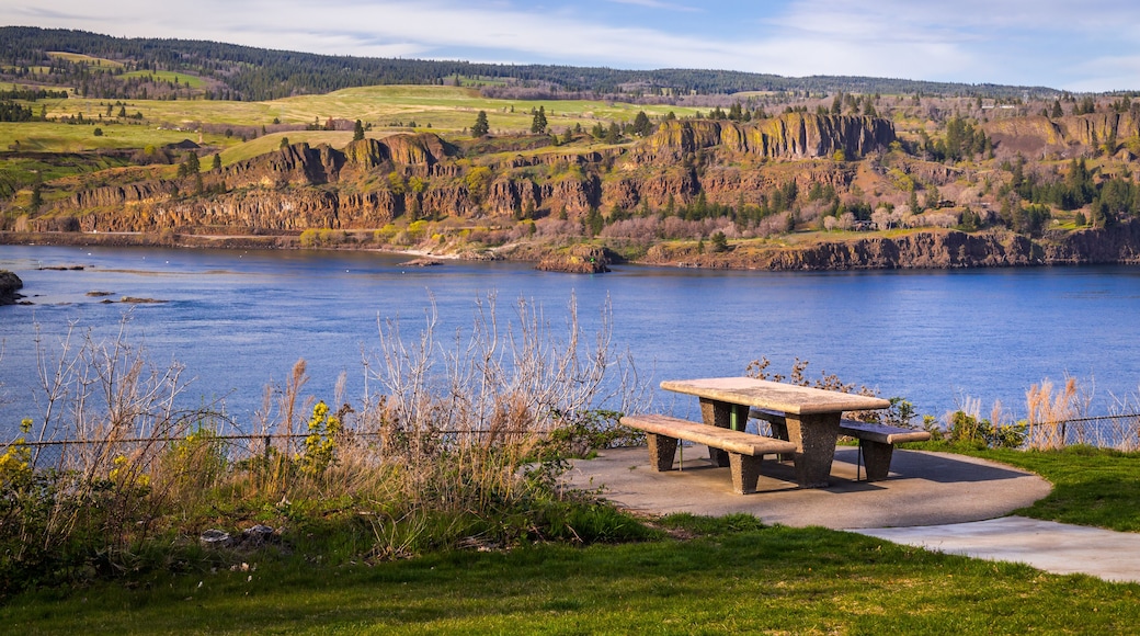 Beautiful view at Columbia river gorge in Oregon from Memaloose State Park in golden hour