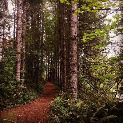 Morning hike! #hike #mayfieldlake #woods #wastateparks #ikekinswapark