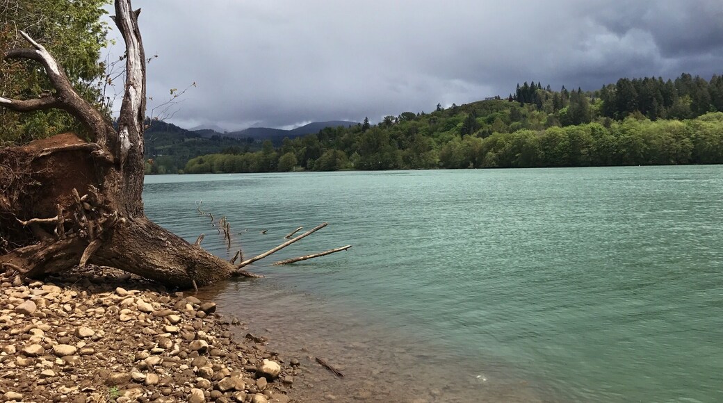 Expansive glacial lake is icy but full of potential adventures. Camping, hiking, fishing, and boating are just some options this lake area boasts. Go alone, or bring people to share your adventures... either way is sure to make unforgettable memories. (Some seasons of the PNW bring plenty of rain and chilly winds, be prepared and know the forecast to plan the best trip here.)