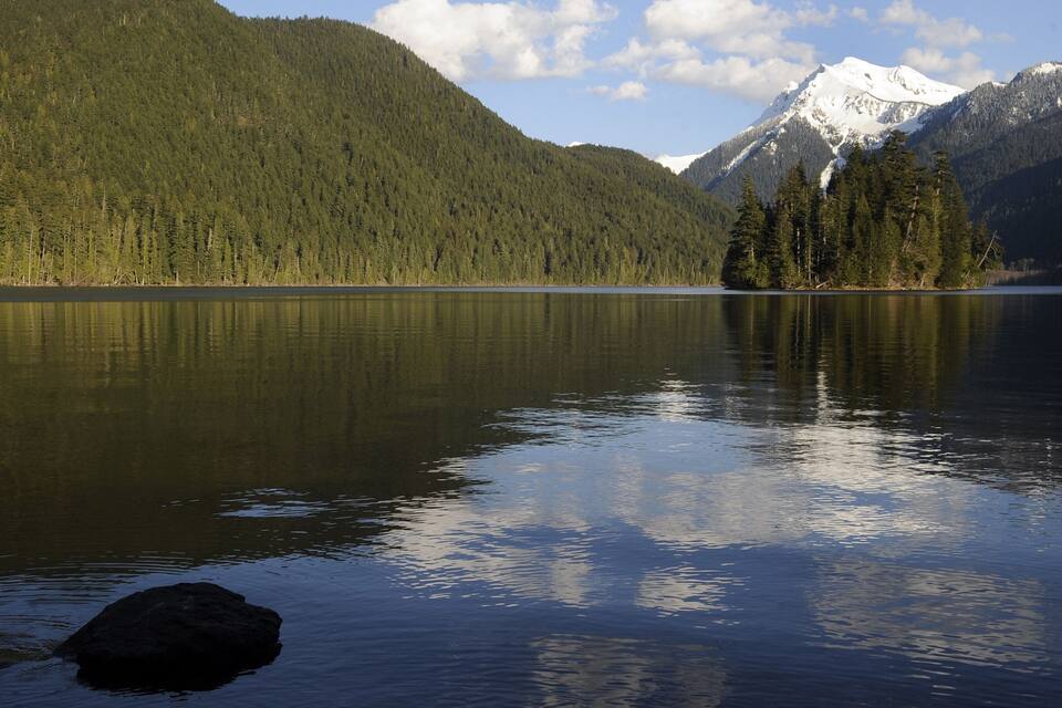 A calm lake with a reflection of trees and a snow-capped mountain in the background.