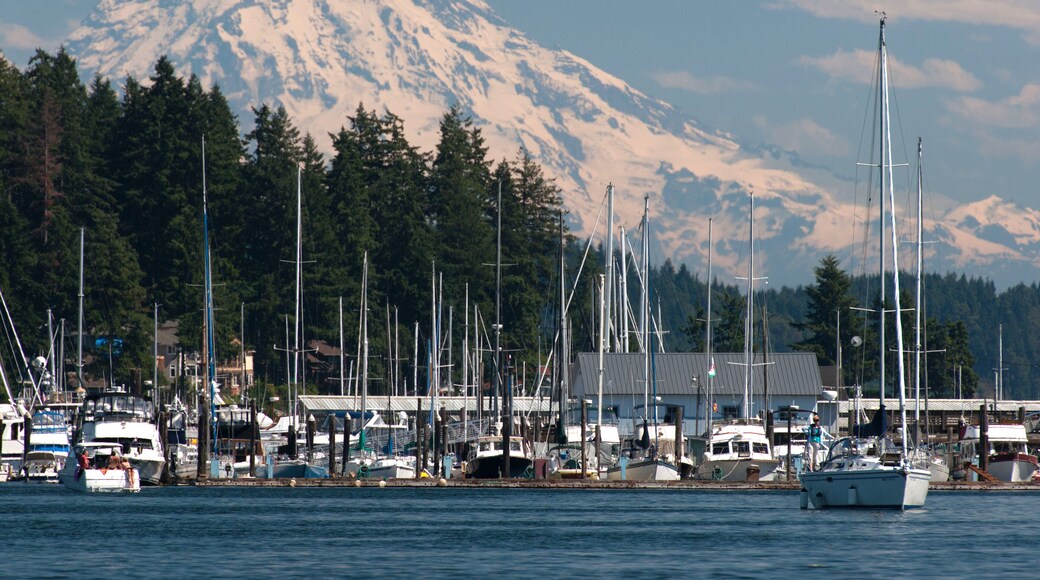 Mt Rainier Looms over Sleepy town of Gig Harbor
