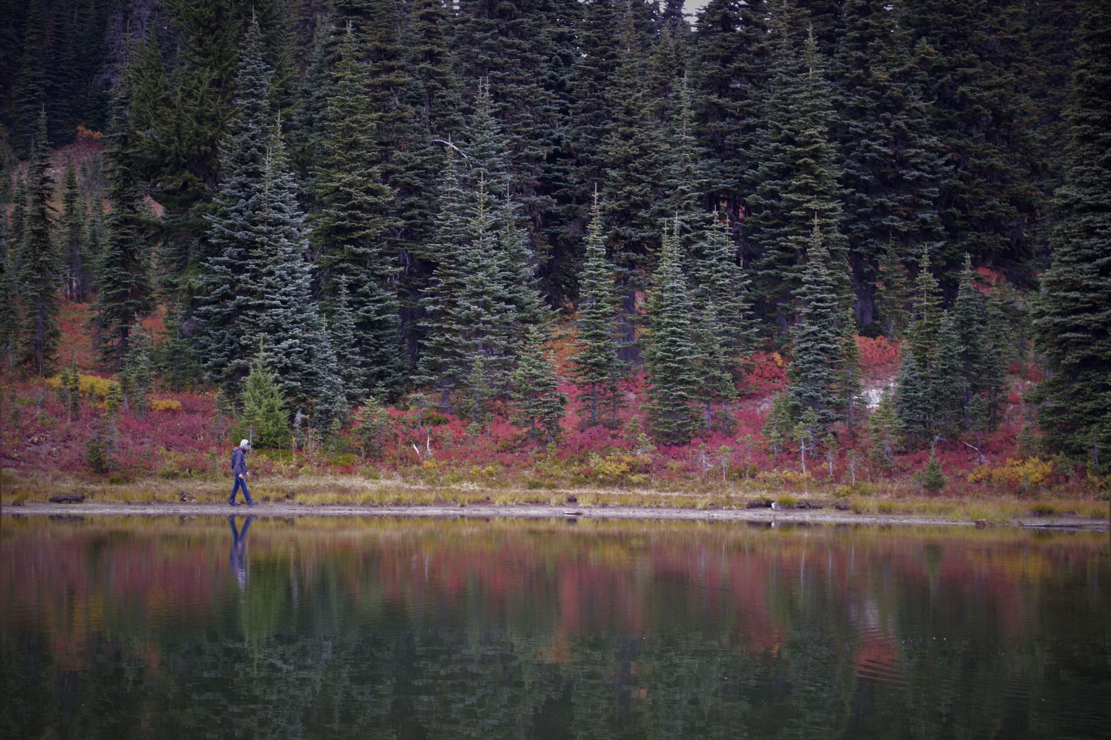 Washington fall colors