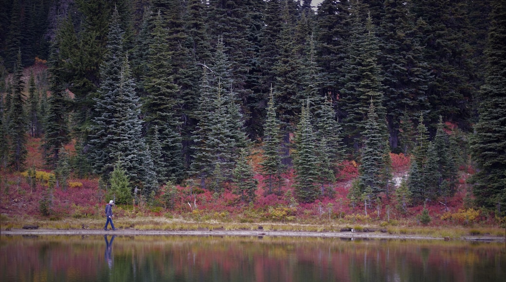 Washington fall colors