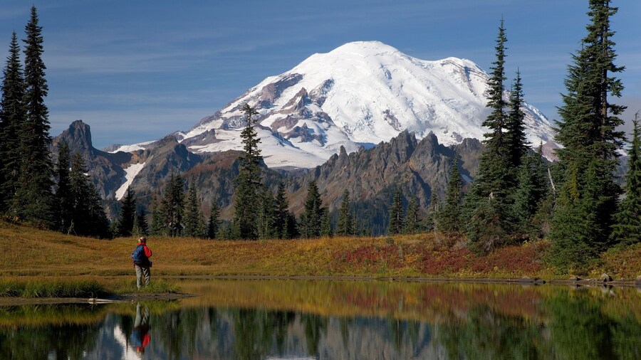 Mount Rainier