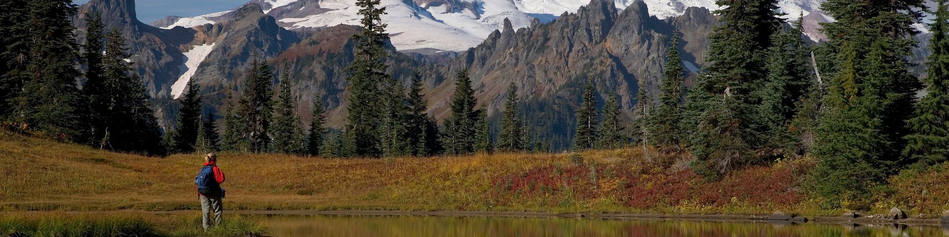 Reflection of a snowcapped mountain in a lake, Tipsoo Lake, Mount Rainier, Mount Rainier National Park, Washington, USA