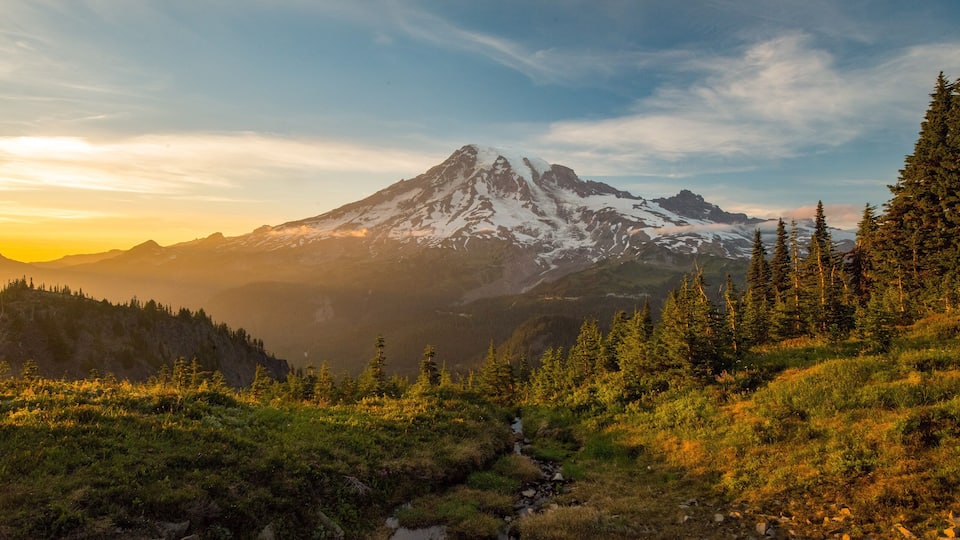 A snow-capped mountain, a stream, and coniferous trees at sunset.