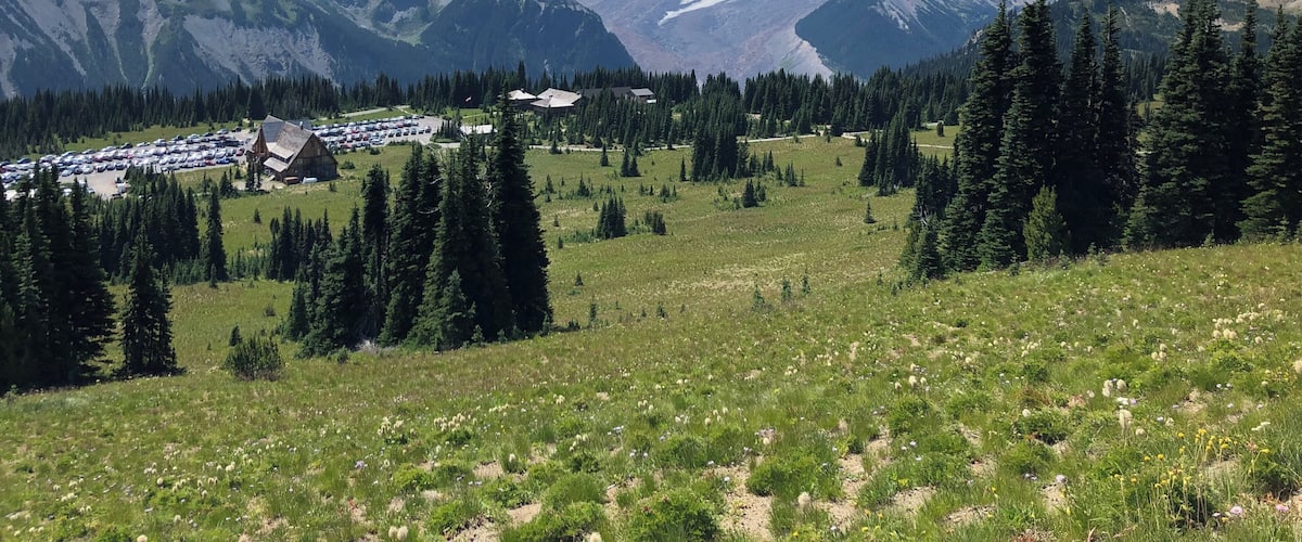 A snow-capped mountain range, a parking lot, and a forested area.