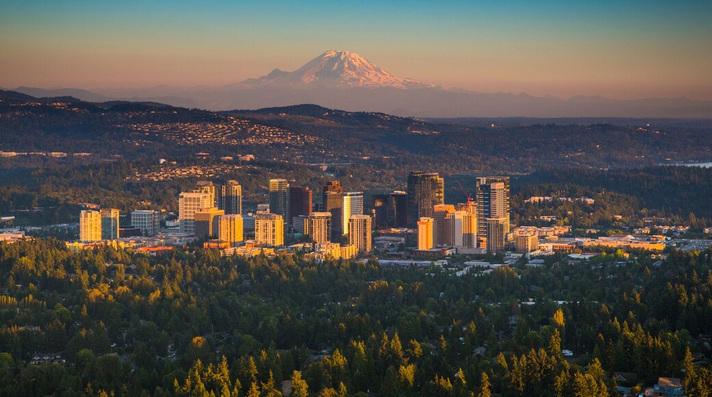 Downton Bellevue, Washington with Mt. Rainier
